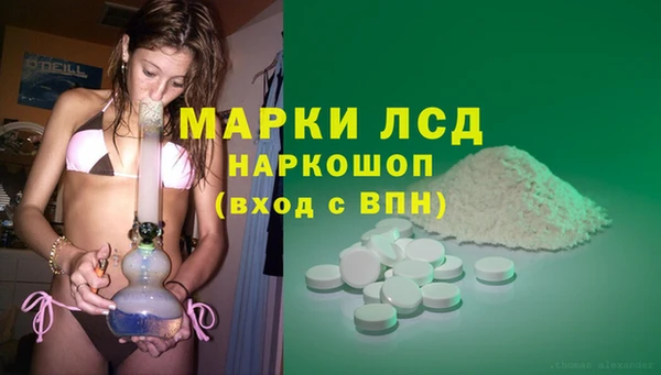 прущие грибы Белоозёрский