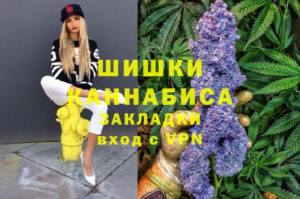 прущие грибы Белоозёрский