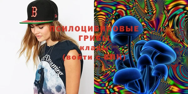 COCAINE Богородицк