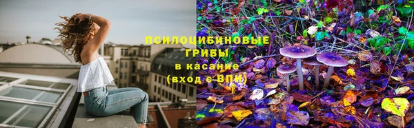 дмт Баксан