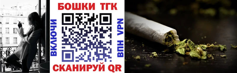 Бошки Шишки план  Бор 